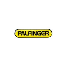 Palfinger Logo PIN big